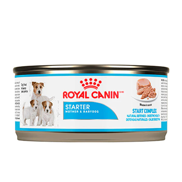 Royal Canin Starter Mousse lata